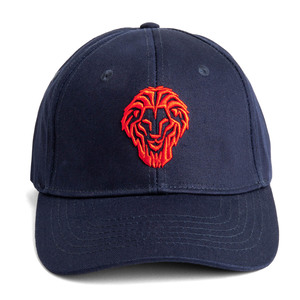 GORRA LEON 3D